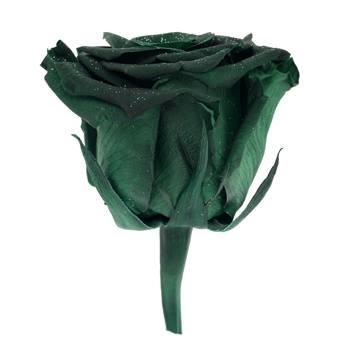 Preserved Metalized Olive Green Rose