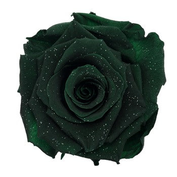 Preserved Metalized Olive Green Rose