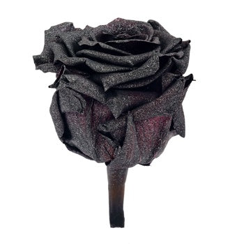 Preserved Metalized Silver Intense Rose