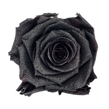 Preserved Metalized Silver Intense Rose