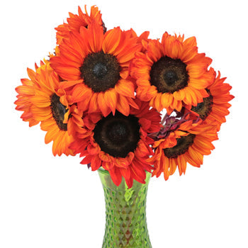 Mini Red Enhanced Sunflowers