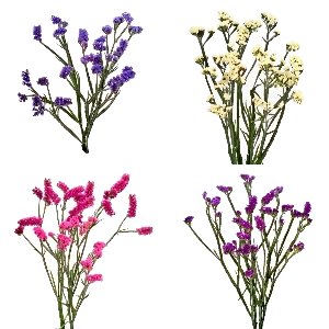 Choose Your Own Statice Flower Pack