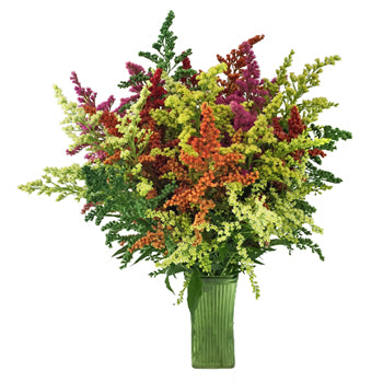 Mix of Enhanced Estelle Filler Flowers