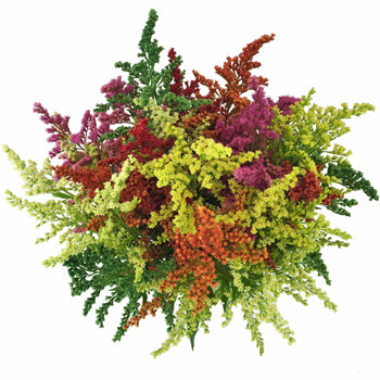 Mix of Enhanced Estelle Filler Flowers