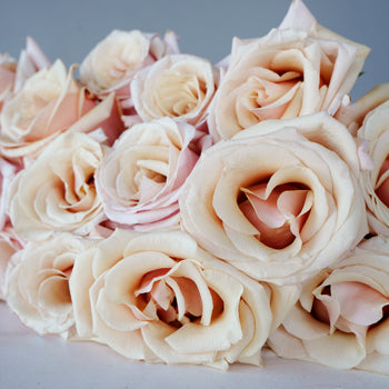 Buy Roses Near Me