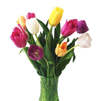 Mothers Day Fresh Cut Bulk Tulip Flowers Choose Your Color