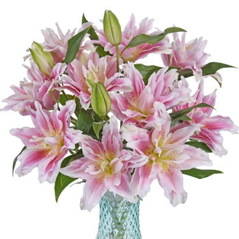 Bubblegum Pink Rose Lily