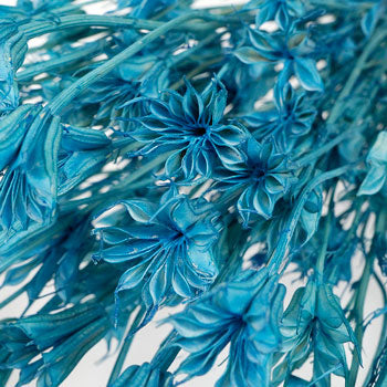 Blue Dried Nigella Pods