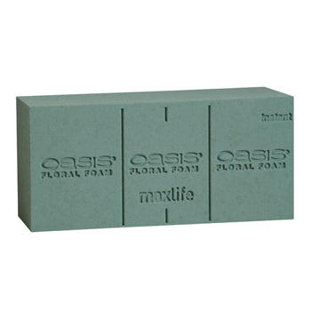 OASIS Instant Deluxe Floral Foam Bricks