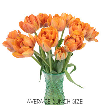 Mandarin Bliss Double Tulip