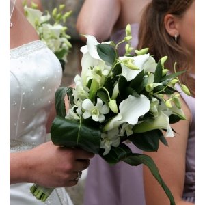 Orchid and Mini Calla Wholesale DIY Flower Kit In a Hand