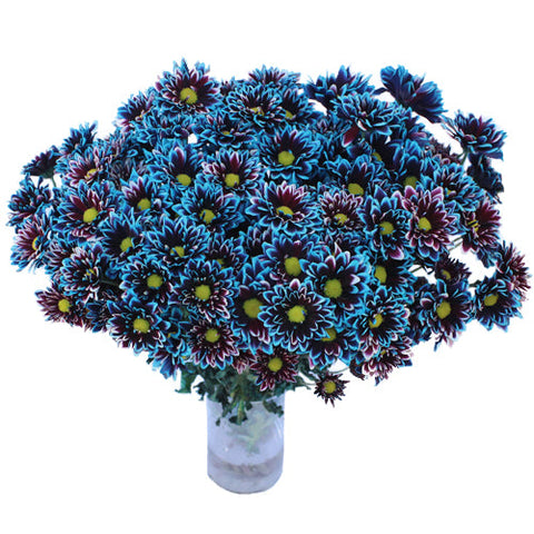 Psychedelic Daisy Flower Blue