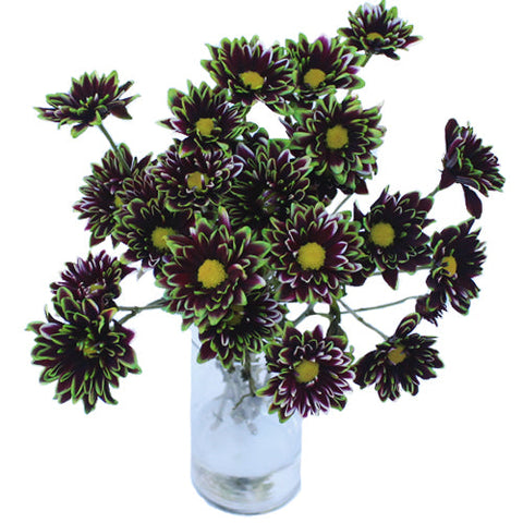 Psychedelic Daisy Flower Green