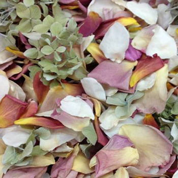 Outdoor freeze Dried Rose Petals