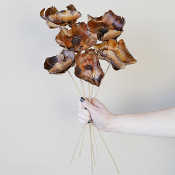 Dried Palm Caps