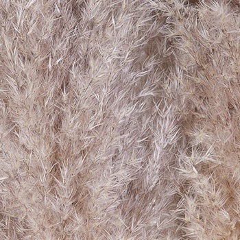 Grower's bunch of bulk pampas grass fresh cut greens sold for delivery