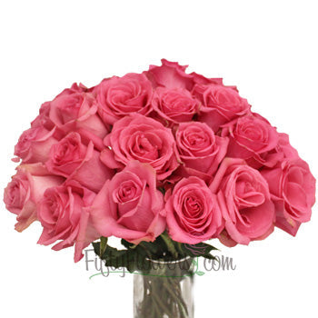 Pavarotti Medium Pink Rose