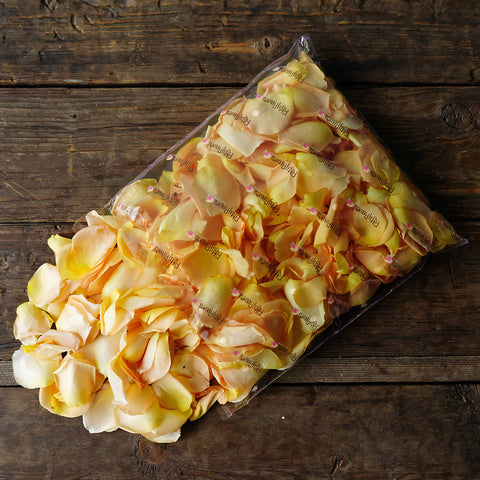 peach Fresh Rose Petals Wholesale