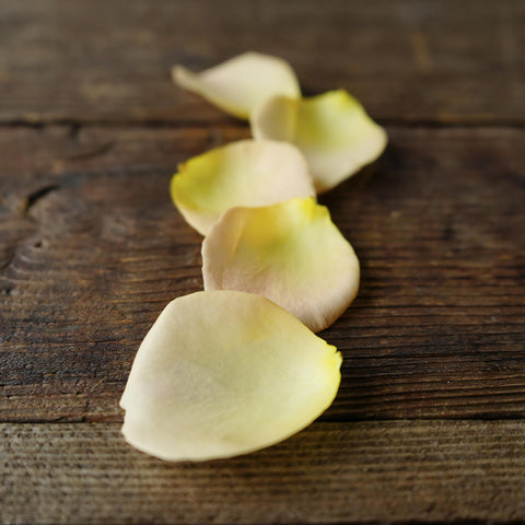 peach Real Rose Petals