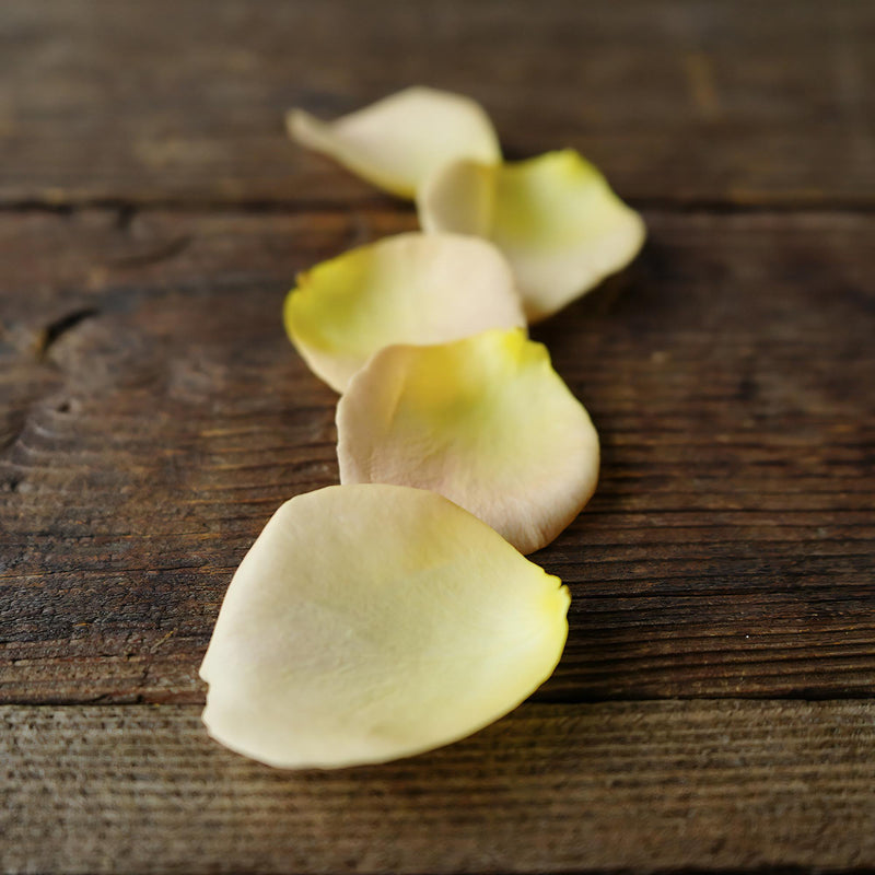 peach Real Rose Petals