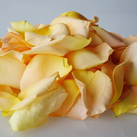peach Real Roses Petals