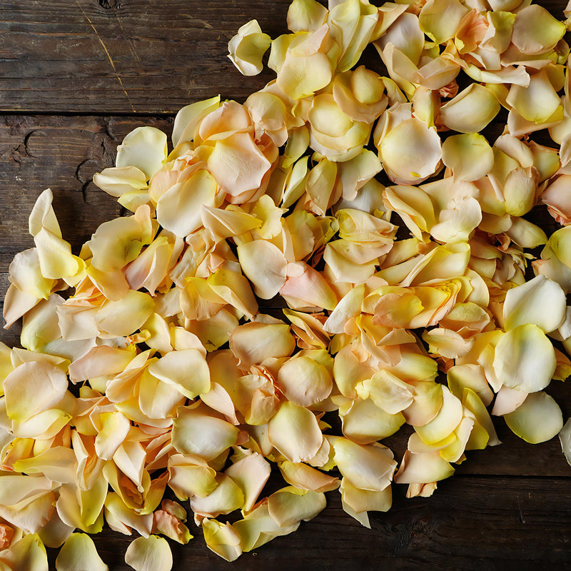 peach Rose Petals for sale