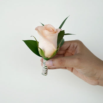 Modern Peach Rose Boutonniere and Corsage Pack