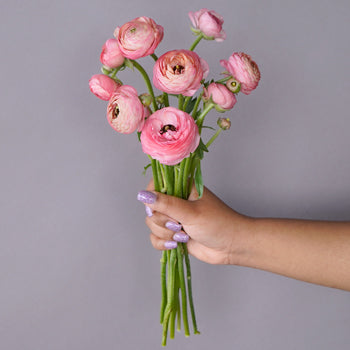 Save the Ranunculus Wild Flowers