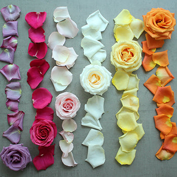 R&R Petal & Rose Bath Experience