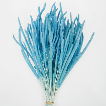 Light Blue Dried Timothy Grass