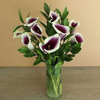 Picasso Mini Callas Centerpieces