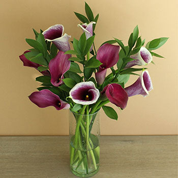 Purple and Cream Mini Callas Centerpieces