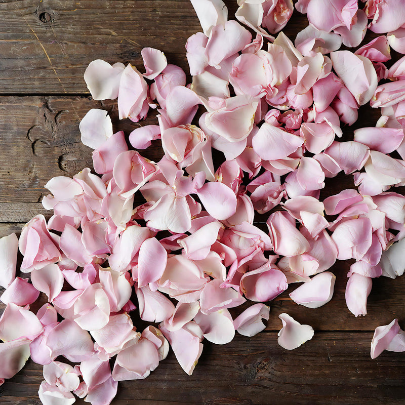 Light Pink Rose Petals for sale