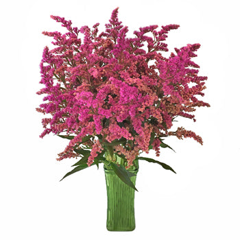 Enhanced Pink Estelle Filler Flower