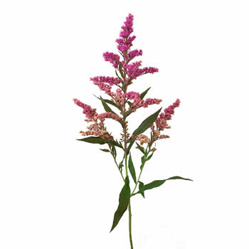 Enhanced Pink Estelle Filler Flower