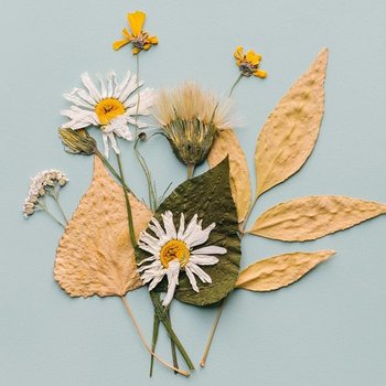 Choose Your Own Pressed Flower Kit