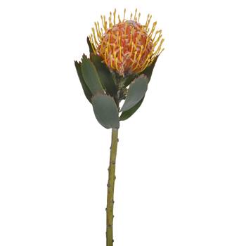 Orange Ribbon Pin Cushion Flower