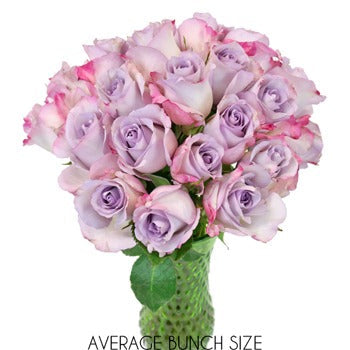Purple Haze Sweetheart Rosew