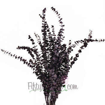 Eggplant Seeded Eucalyptus for Weddings