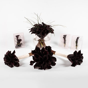 Classic Calla Lily Wedding Collection