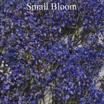 Purple Airbrushed Baby's Breath