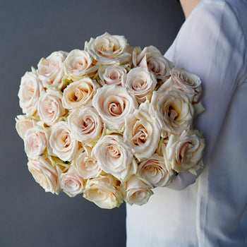 Queen of Pearl Rose