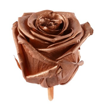 Preserved Rose Gold Rose