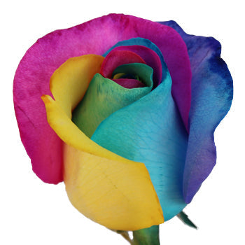 Neon Tie Dye Rainbow Roses