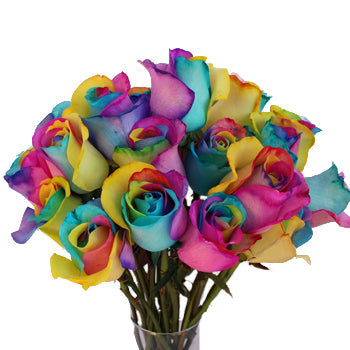 Neon Tie Dye Rainbow Roses