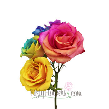 Tie Dye Mini Roses