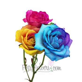 Tie Dye Mini Roses