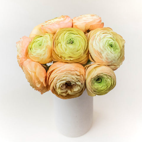 Peach Ranunculus Wholesale Flower In a vase