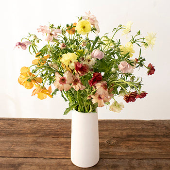Assorted Colors Butterfly Ranunculus Wholesale Flower In a vase