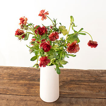 Hades Red Butterfly Ranunculus Wholesale Flower In a vase